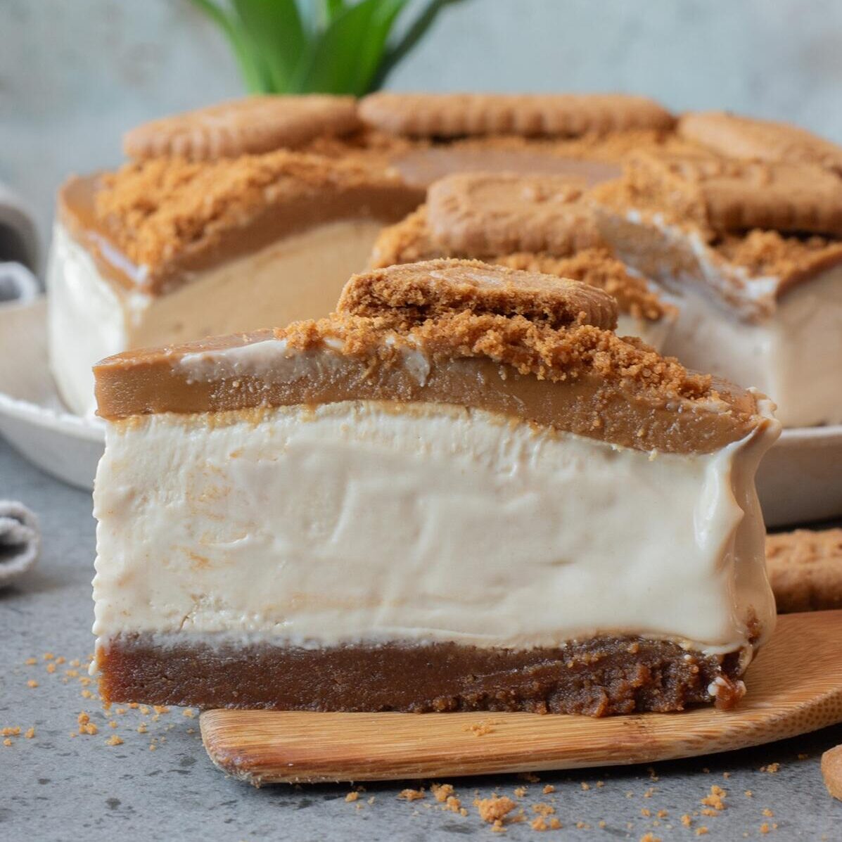 no bake biscoff cheesecake