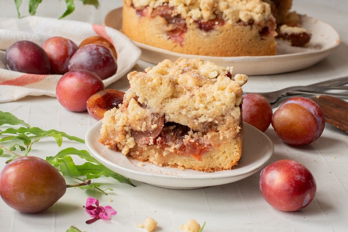 german plum cake pflaumenkuchen