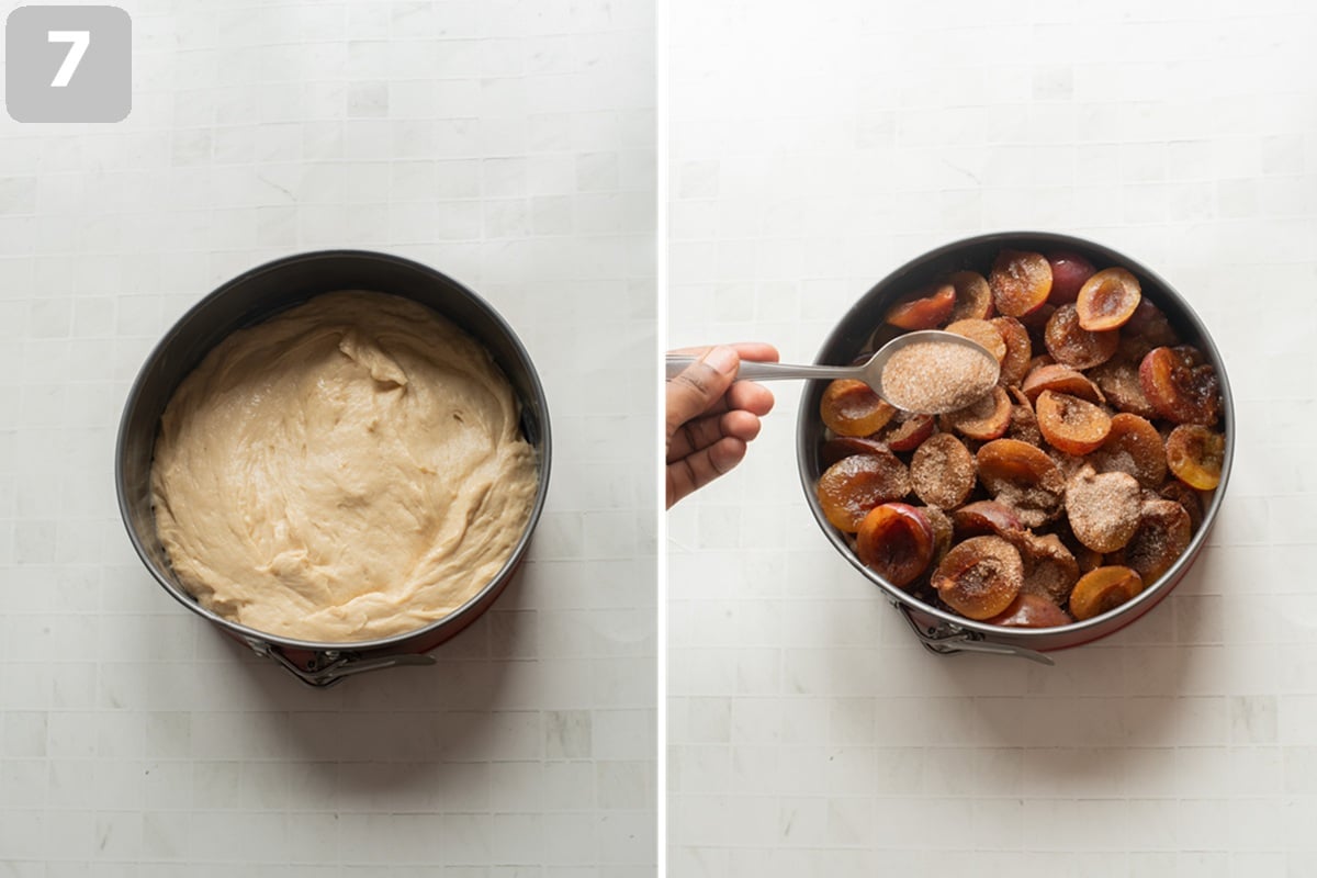Press the dough into the pan, top with plums, sprinkle with cinnamon sugar, and add streusel if desired.