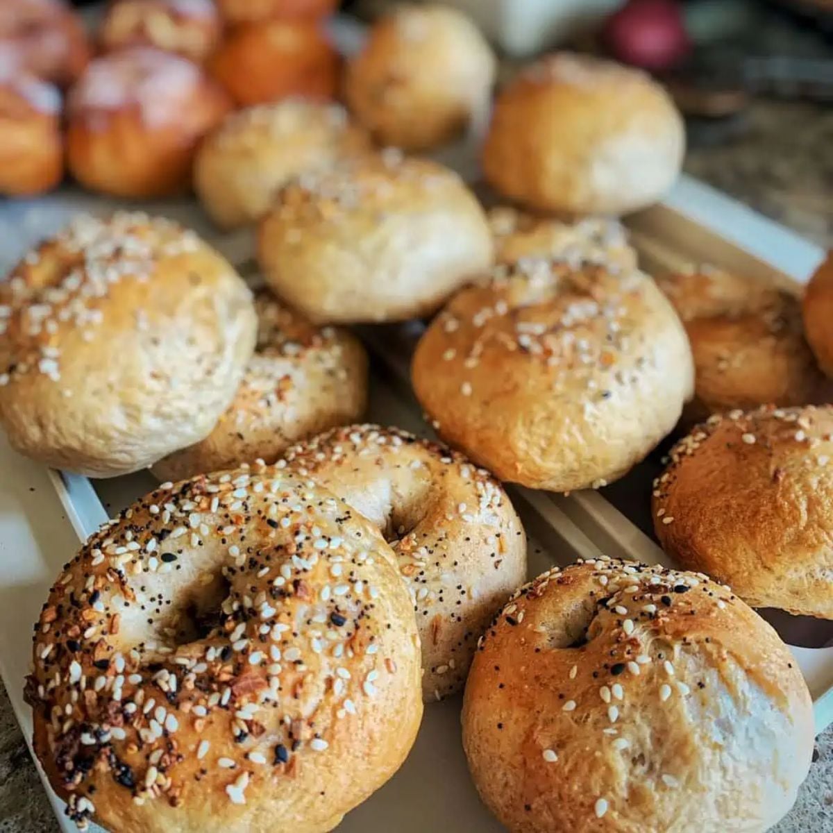 Sourdough Bagels