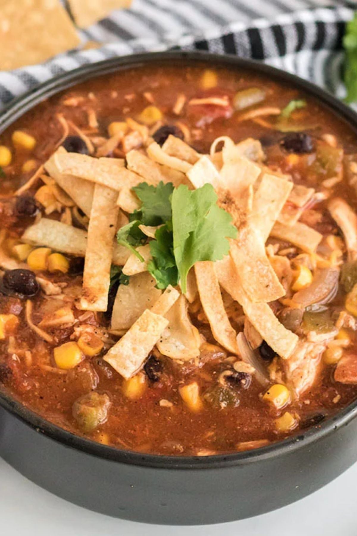 Crock Pot Chicken Tortilla Soup