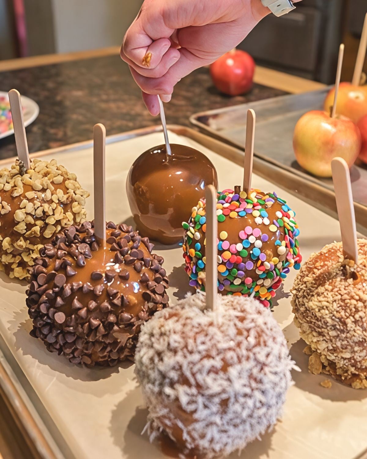 Hand-dipped caramel apples on wooden sticks decorated with chopped nuts, mini chocolate chips, colorful sprinkles, and shredded coconut arranged on a tray for an easy Thanksgiving dessert