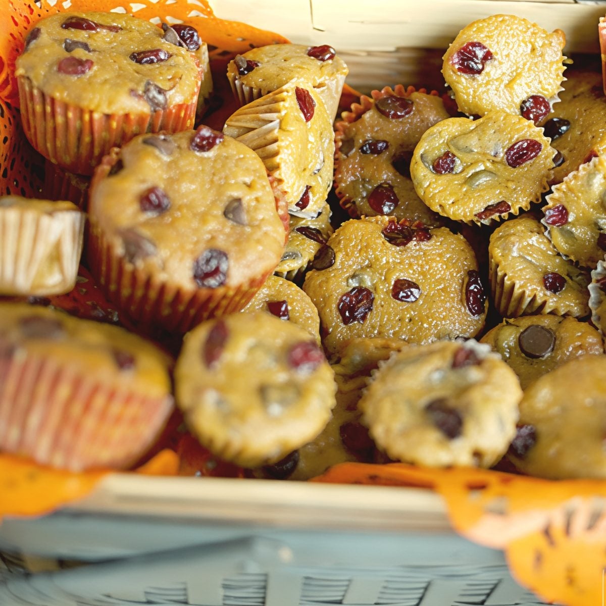 Freshly baked pumpkin cranberry muffins studded with dried cranberries and chocolate chips served in paper liners for easy Thanksgiving desserts.