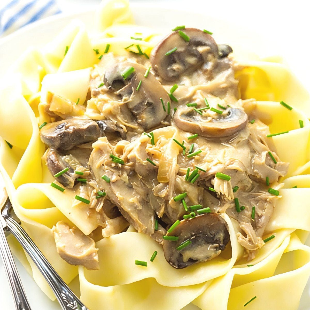 Creamy leftover turkey stroganoff with tender mushrooms and fresh chives served over broad egg noodles, perfect for easy leftover turkey recipes.
